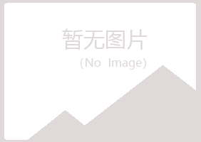 固阳县山柳建设有限公司